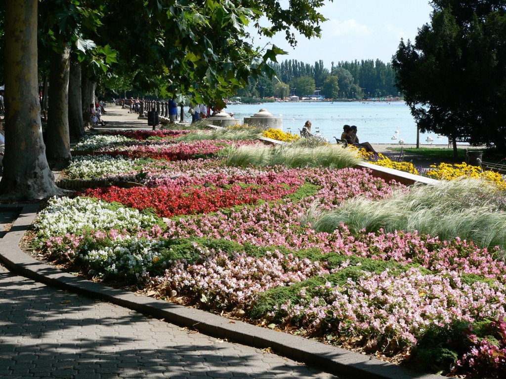 P1010243