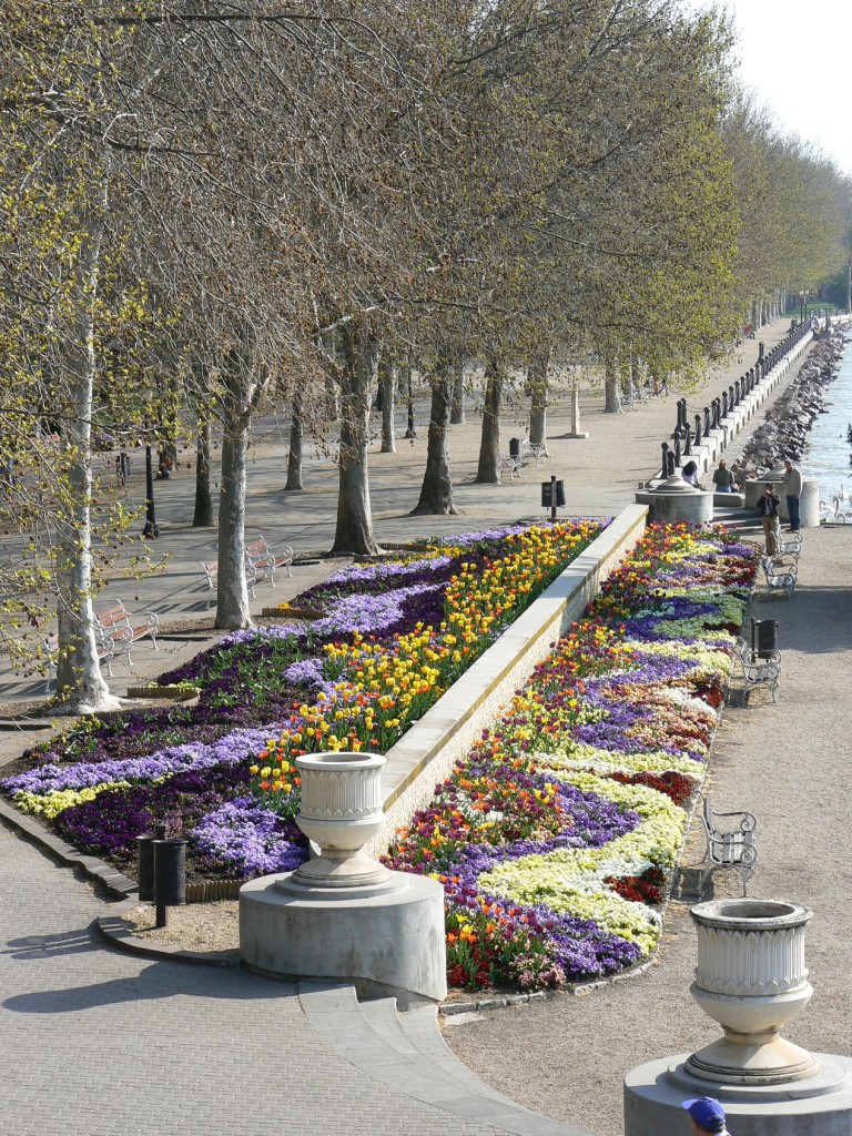 P1040387